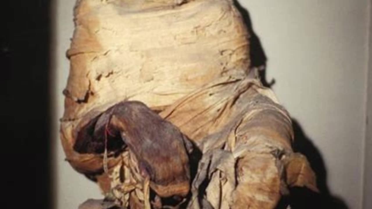 The 10 Most Incredible Animal Mummies from Egypt Part 2