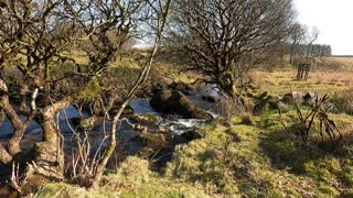 River in Dartmoor. England. GoPro