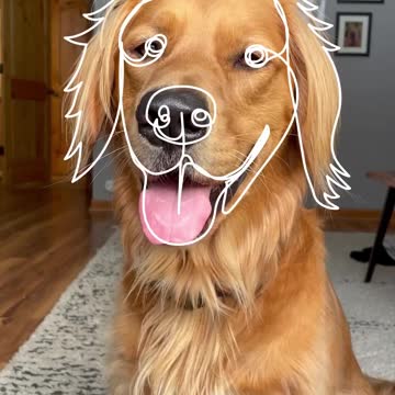 Cute 🐶 dog face art