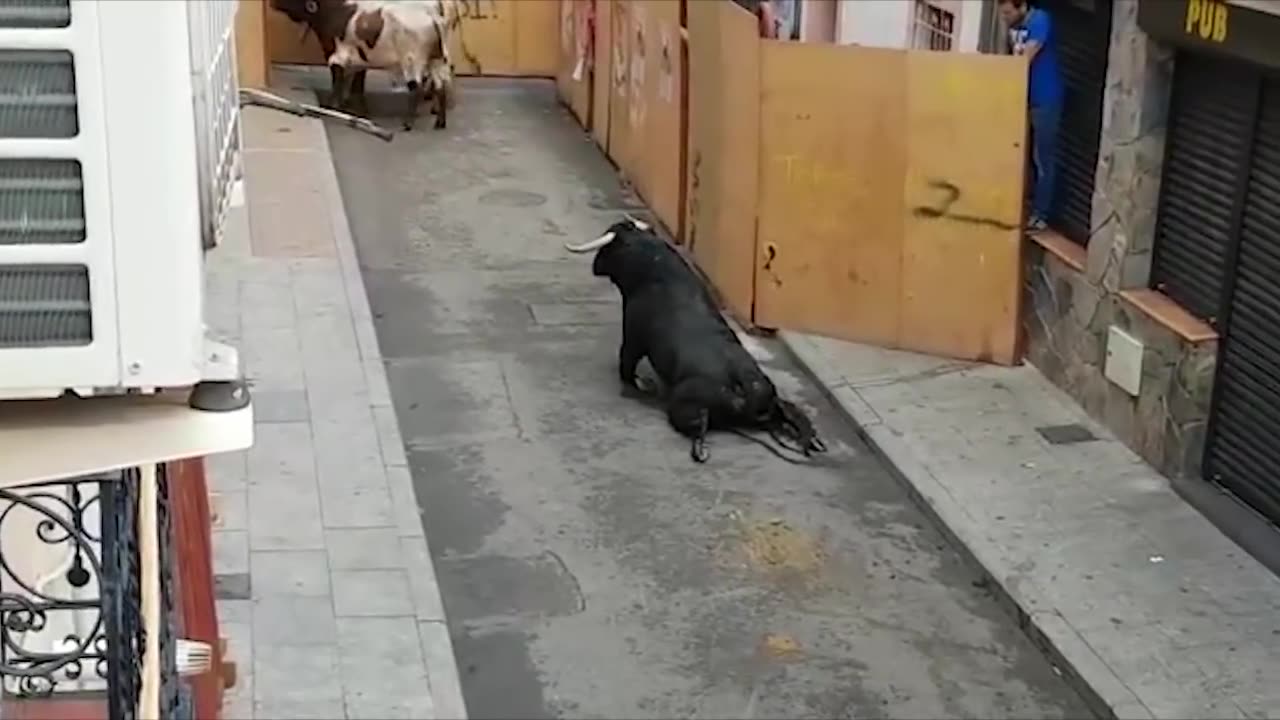 Bull Breaks Legs At Spanish Festival