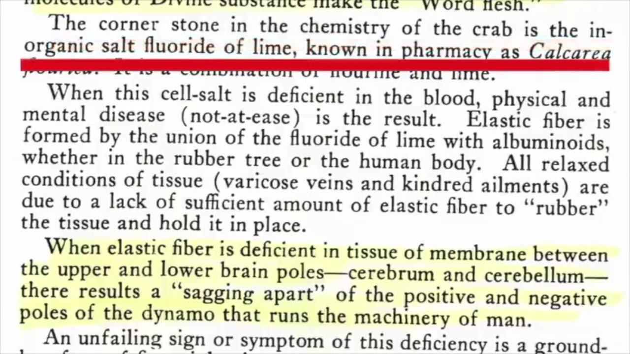 Esoteric Biochemistry Part 1: Unveiling the Hidden Secrets of Life