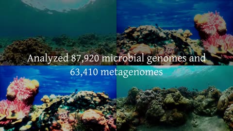Largest-Ever Discovery Effort Uncovers 800,000 New Antibiotic Candidates