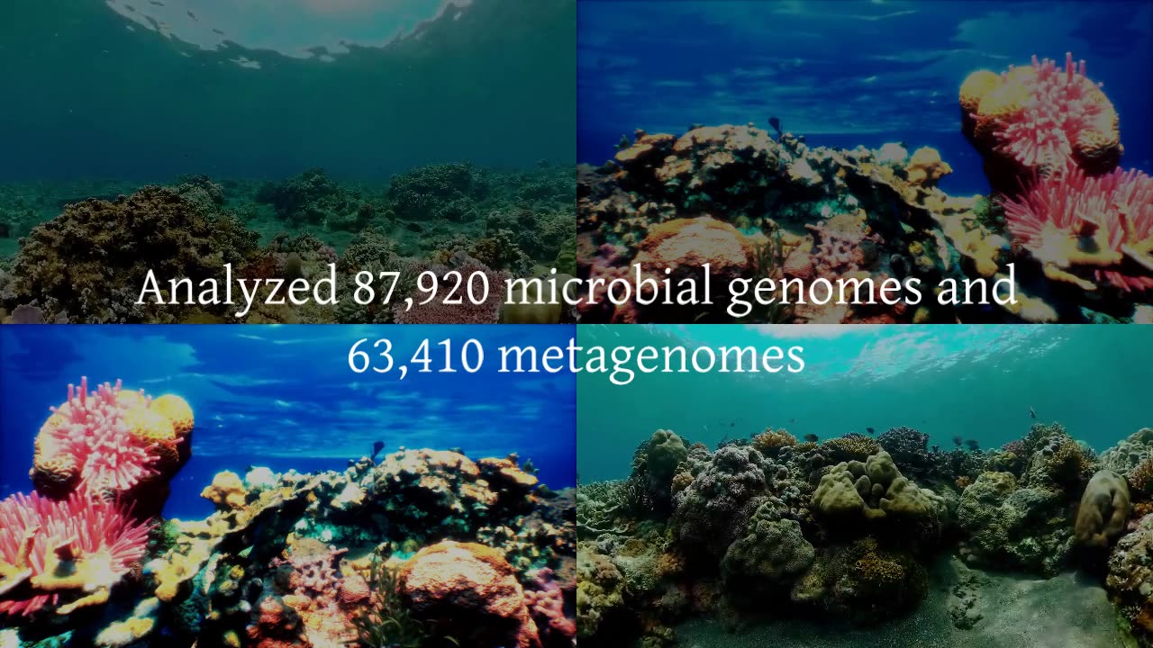 Largest-Ever Discovery Effort Uncovers 800,000 New Antibiotic Candidates