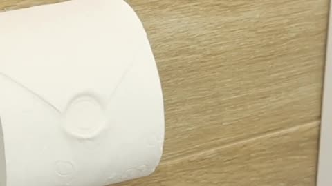 Cute and Simple Way to Fold Toilet Paper Like a Hotel!