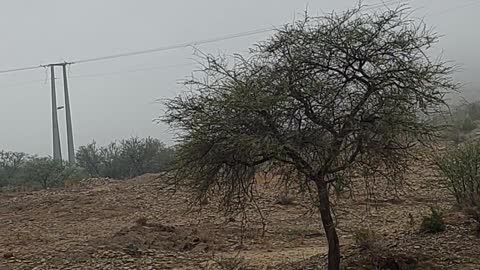 Al Baha District, Saudi Arabia How low is the cloud or fog?