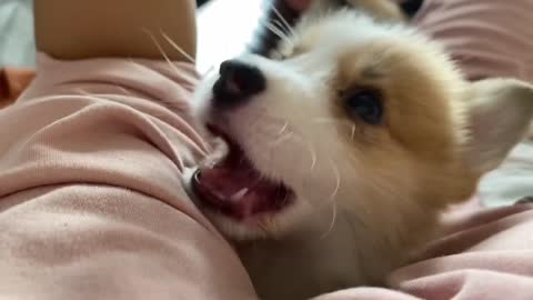He couldn't take it anymore