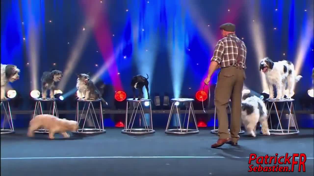 Wolfgang Lauenburger - Dressage de Chiens - Le Plus Grand Cabaret Du Monde