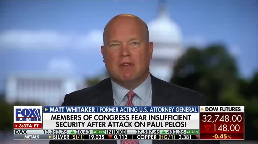 'Disgusting' the media tried to attach Paul Pelosi attacker to Trump, GOP: Whitaker