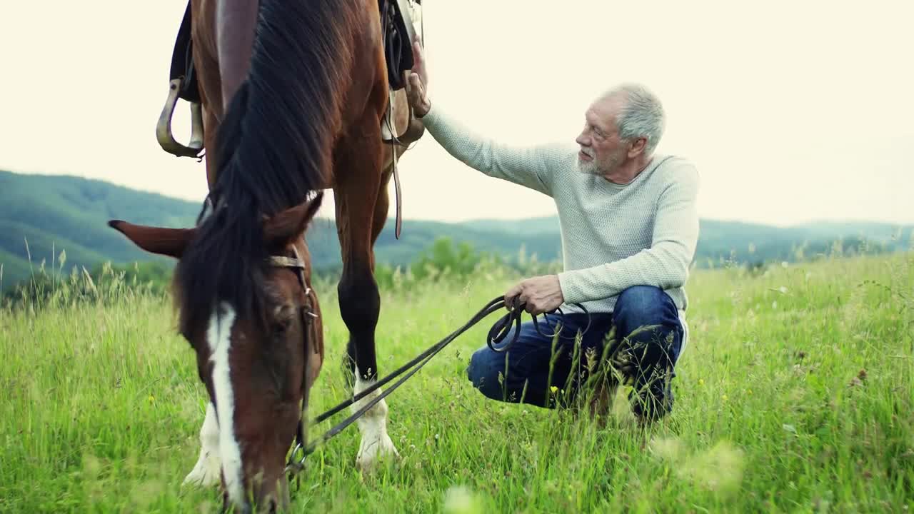 A happy senior man holding a horse grazing outdoors on a pasture