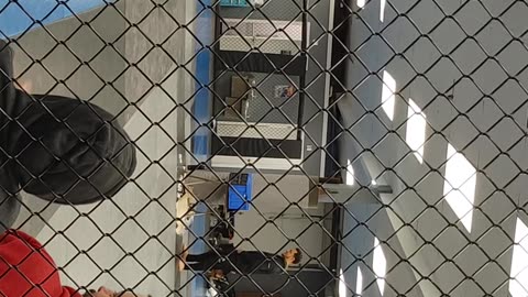 They Legend Crippler