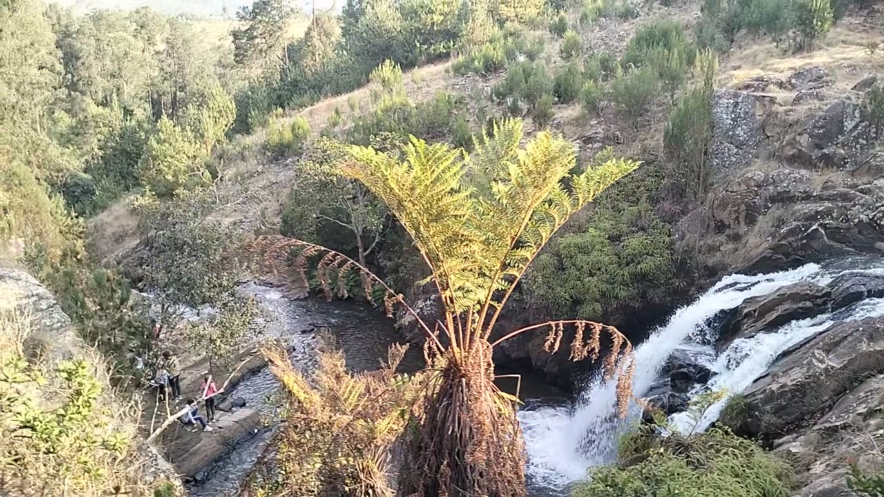 Water falls