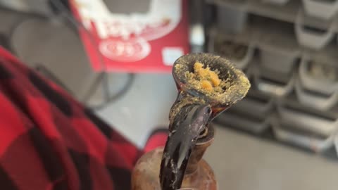 Day 117 pt2 Here Comes the Carnival