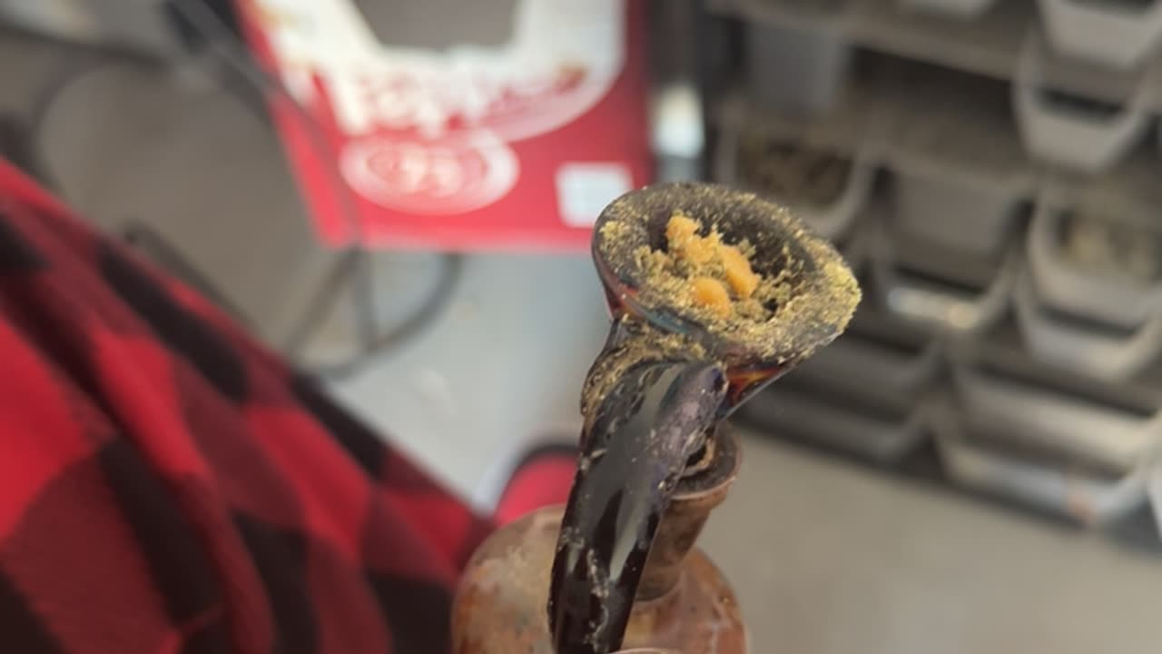 Day 117 pt2 Here Comes the Carnival