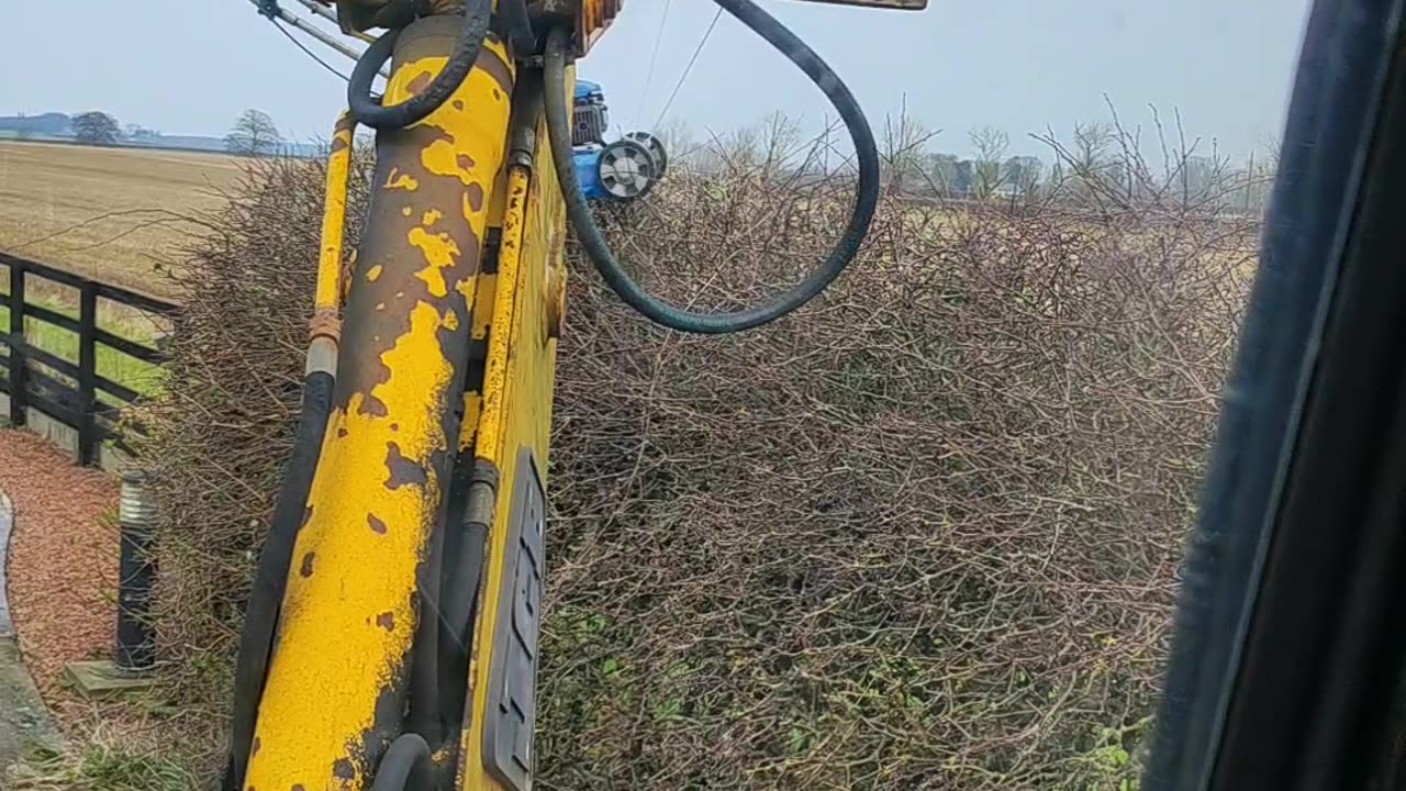 Using a Crane to Cut Hedges