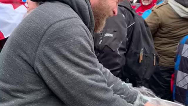 Freedom Cotton Candy! Ottawa 2022