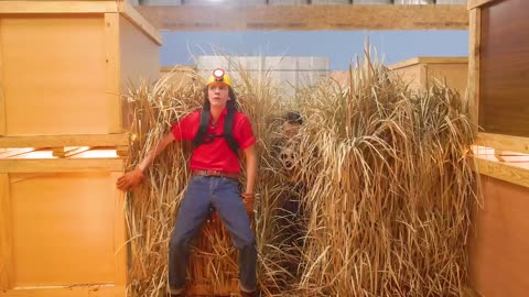 Brawl Stars In Real Life