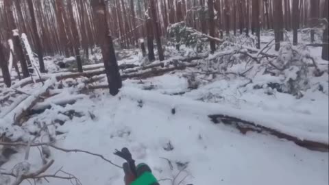 Intense Battles in the Serebryansk Forest