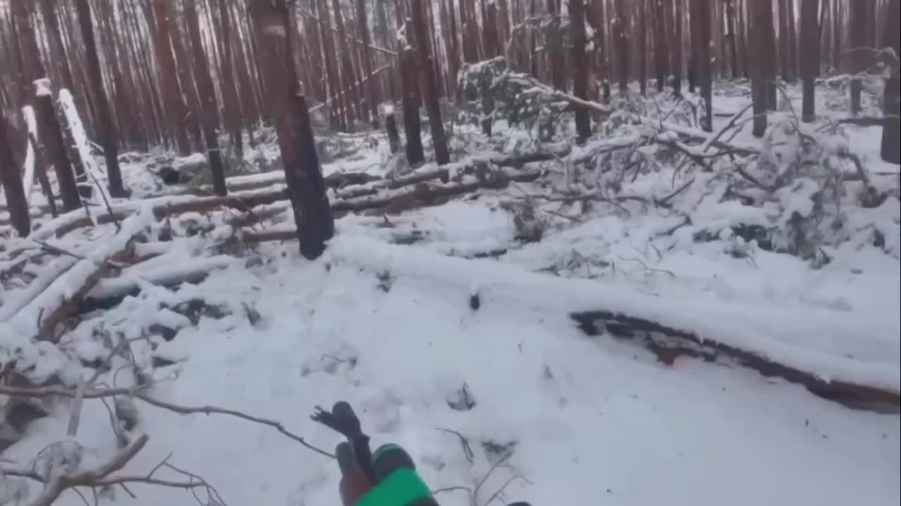 Intense Battles in the Serebryansk Forest