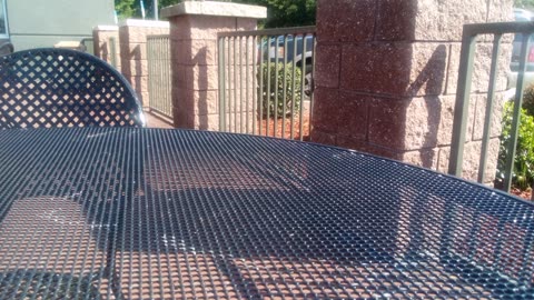 YELLOW CORP SHUTSDOWN & LAYS OFF 30,000 EMPLOYEES, 99 YEAR OLD TRUCKING COMPANY!!!