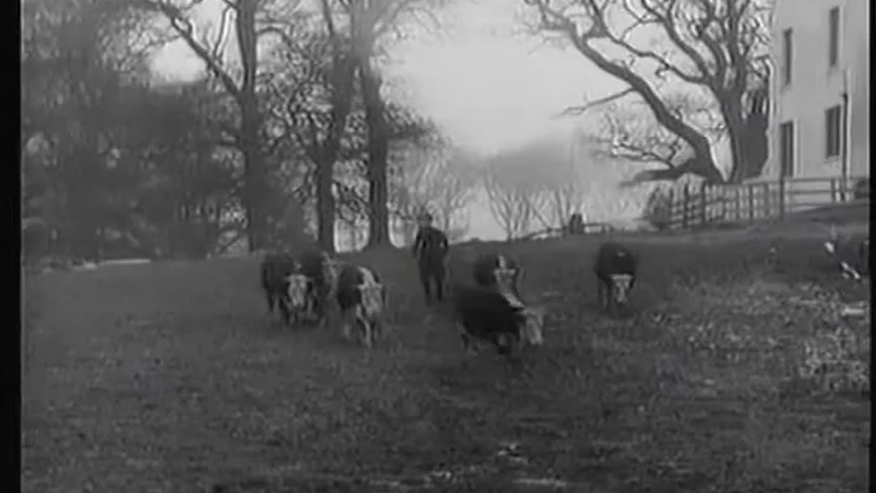 Farmer Moving South 1952