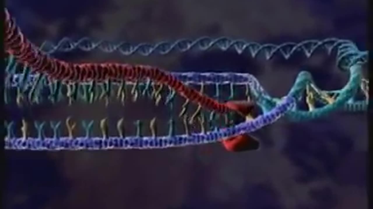 HIV Replication 3D Medical Animation