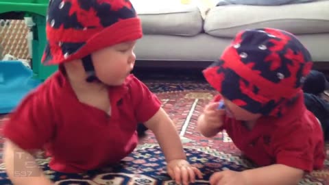 Videos graciosos de bebés