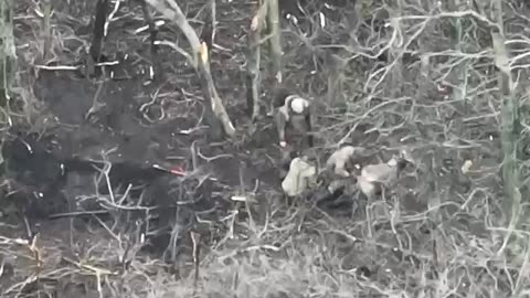 Perfect Shot Lays Down 3 Orcs