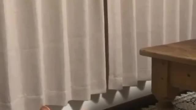 She's still watching