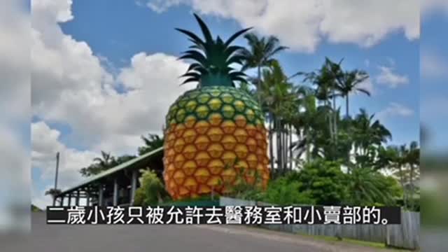 澳洲特輯，加油💪！ 可愛的澳洲人，艱苦中仍不失幽默⋯⋯