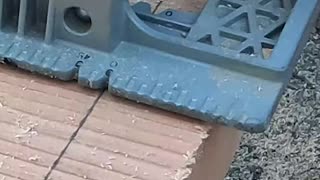 Carpenter Shares Big Timber Cutting Trick!