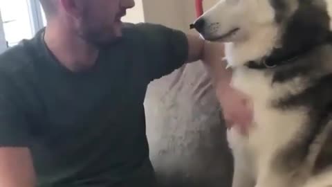 funny animals videos -Dogs Lover-