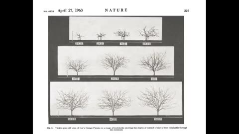 Alt-Tech S2 1 Apple Rootstock History
