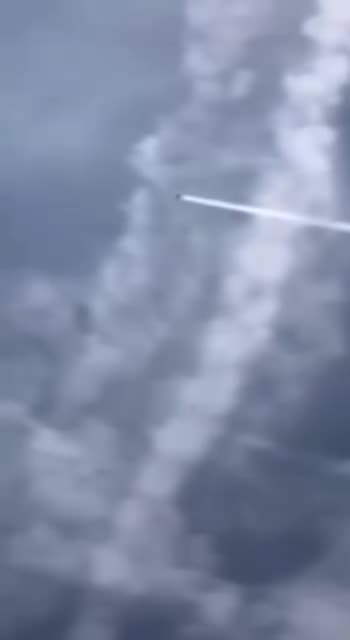 Chemtrails Fly stopper udløsningen