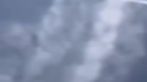 Chemtrails Fly stopper udløsningen