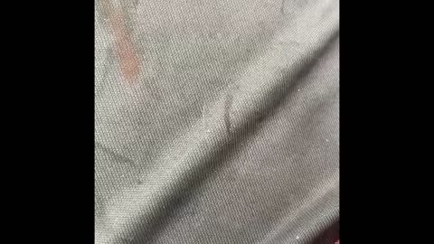 Is this a spy fly? Is it a drone what is it