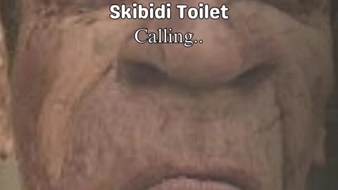 Skibidi Toilet call