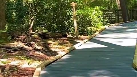 BOARDWALK TO…