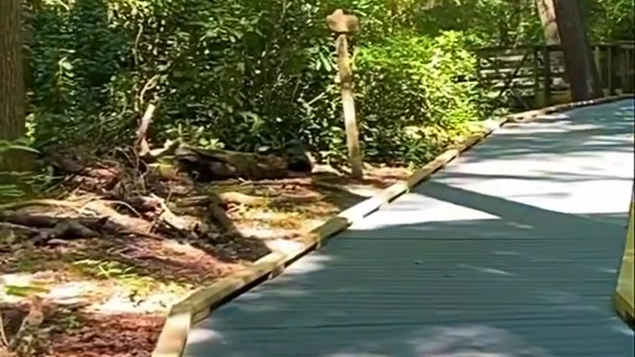 BOARDWALK TO…