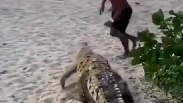 People Running From Alligator