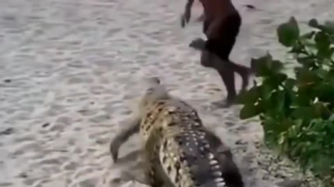 People Running From Alligator