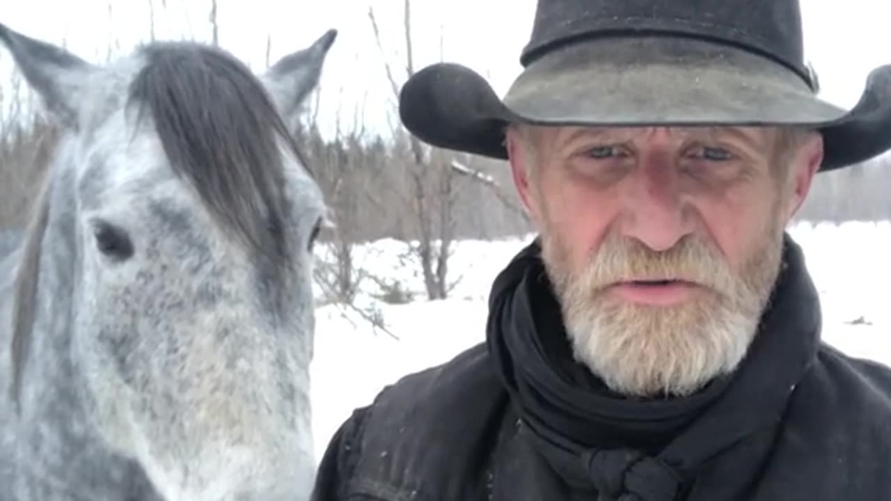 Real Cdn Cowboy - Last Of A Dying Breed - Flashback