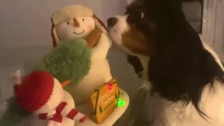 Newfie & Cavalier are tough critics of Christmas toys