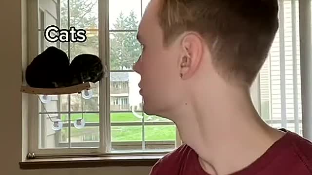 If you got extra