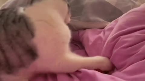 Funny Video