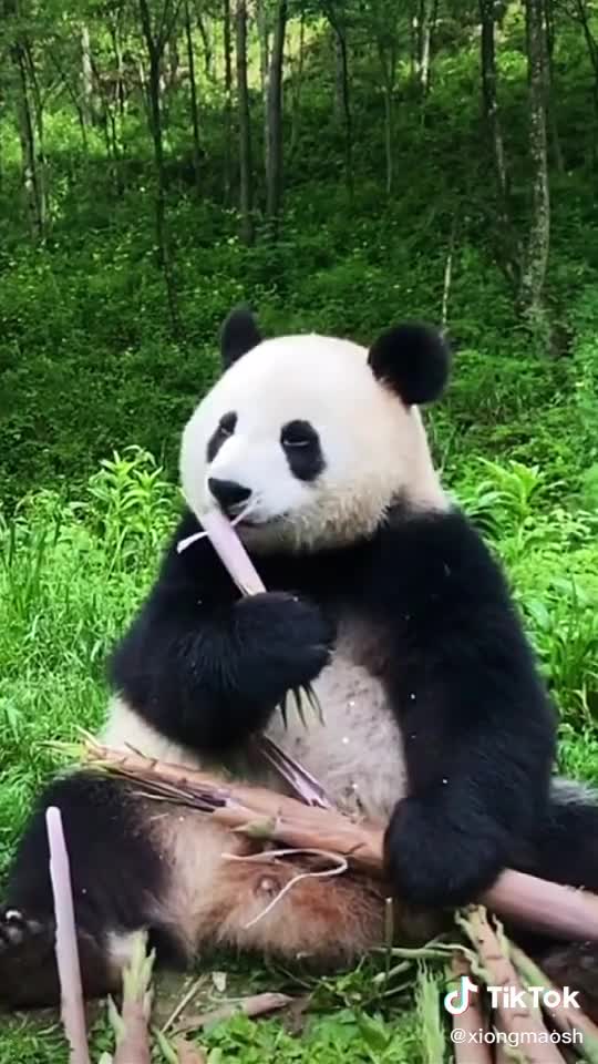 It’s been raining recently. Stop it