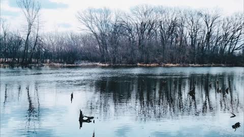 A brief nature moment...