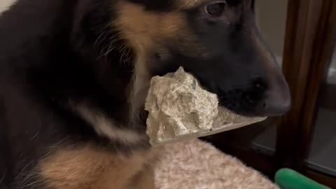 “leave it at the door”