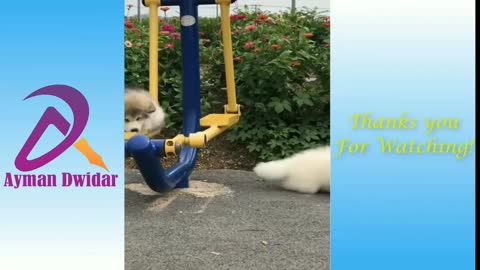 Love animals funny