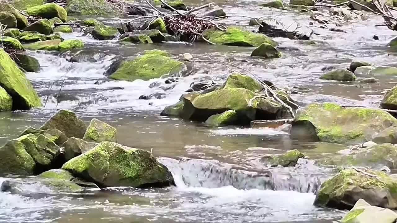 Beautiful River Sounds for Peace & Harmony