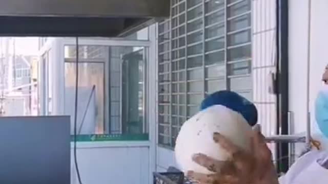Street Food | TikTok Video